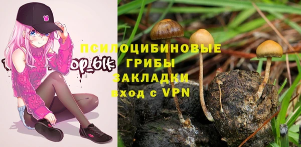 ПСИЛОЦИБИНОВЫЕ ГРИБЫ Богородск