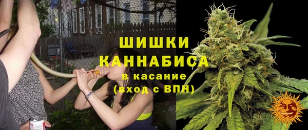 ПСИЛОЦИБИНОВЫЕ ГРИБЫ Богородск