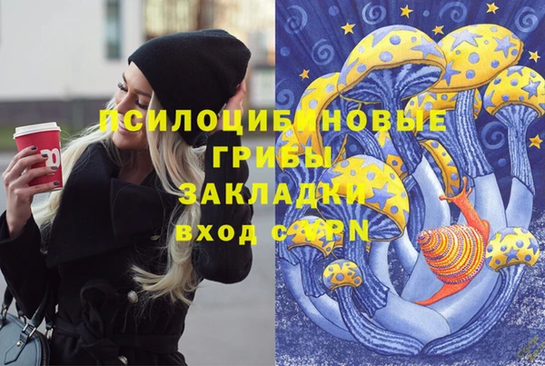 ПСИЛОЦИБИНОВЫЕ ГРИБЫ Богородск