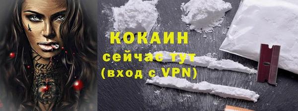 твердый Слюдянка