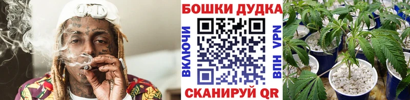 Конопля гибрид  цена наркотик  Долинск 